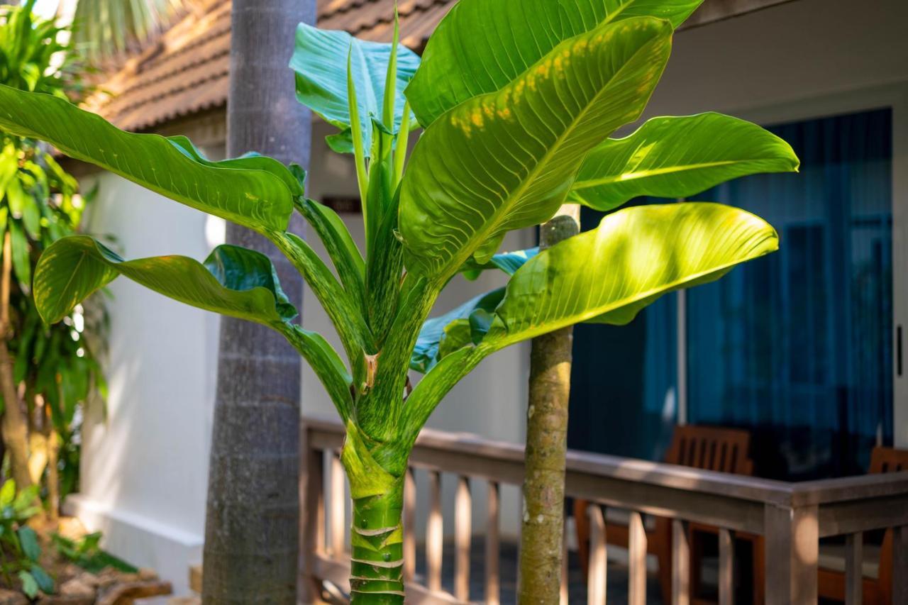 Samui Natien Resort Чавенг Бийч Екстериор снимка